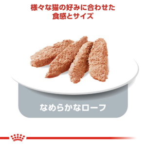 Rovolutionmarketing test e-commerce