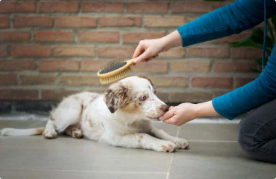 Rovolutionmarketing test e-commerce