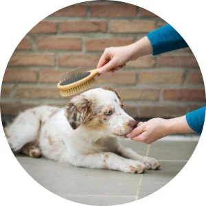 Rovolutionmarketing test e-commerce