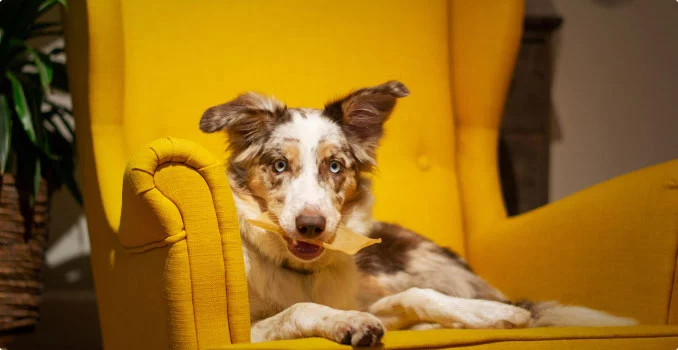 Rovolutionmarketing test e-commerce