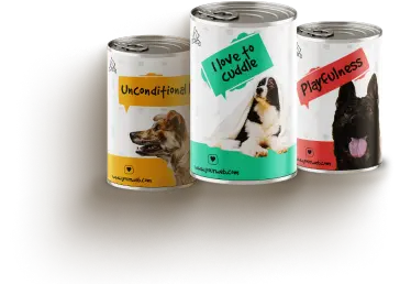 Rovolutionmarketing test e-commerce