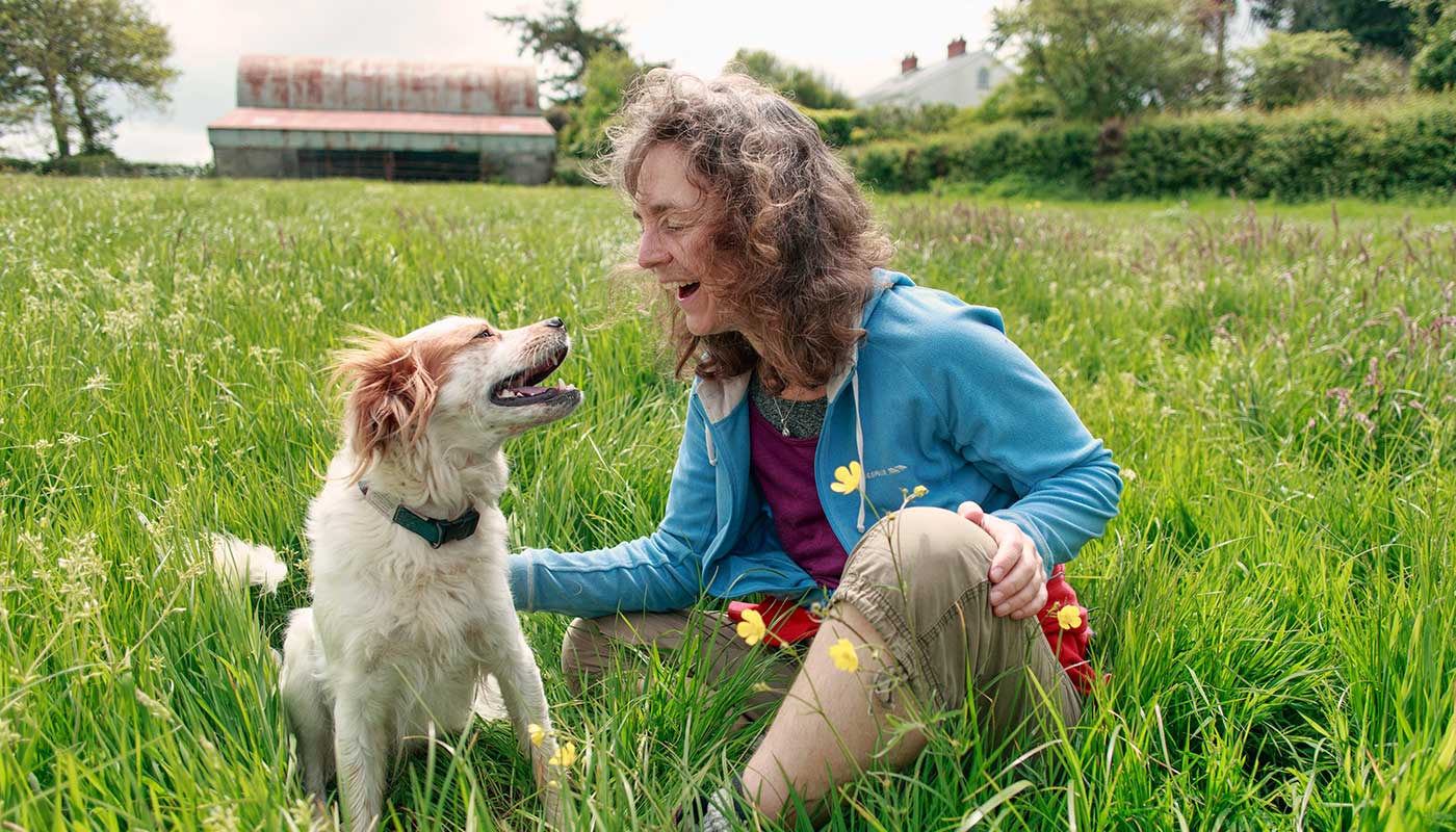 Rovolutionmarketing test e-commerce