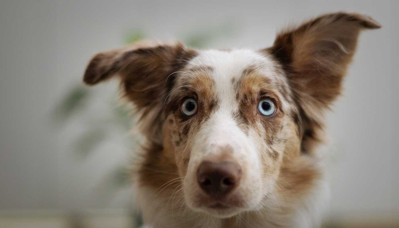 Rovolutionmarketing test e-commerce