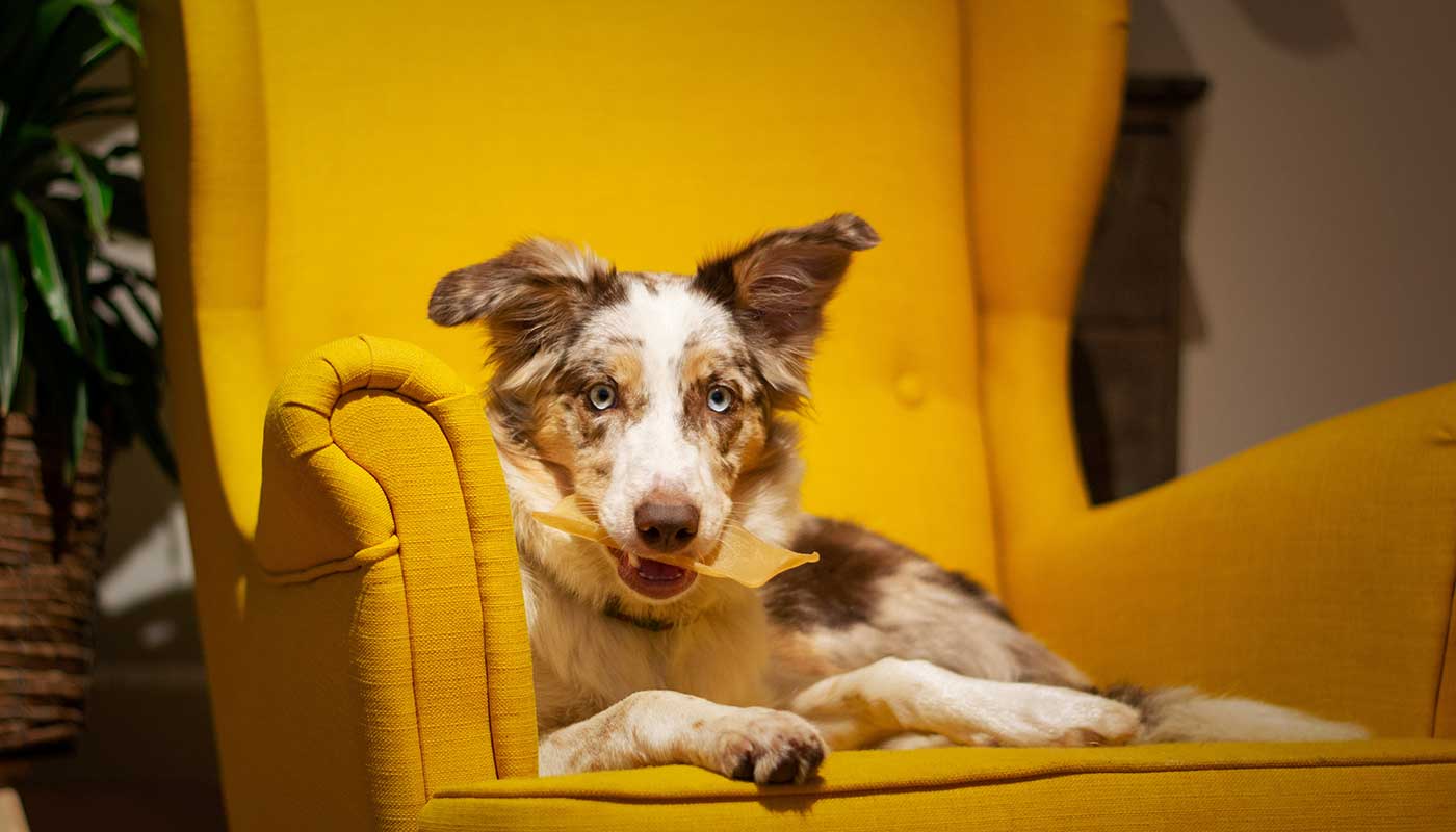 Rovolutionmarketing test e-commerce