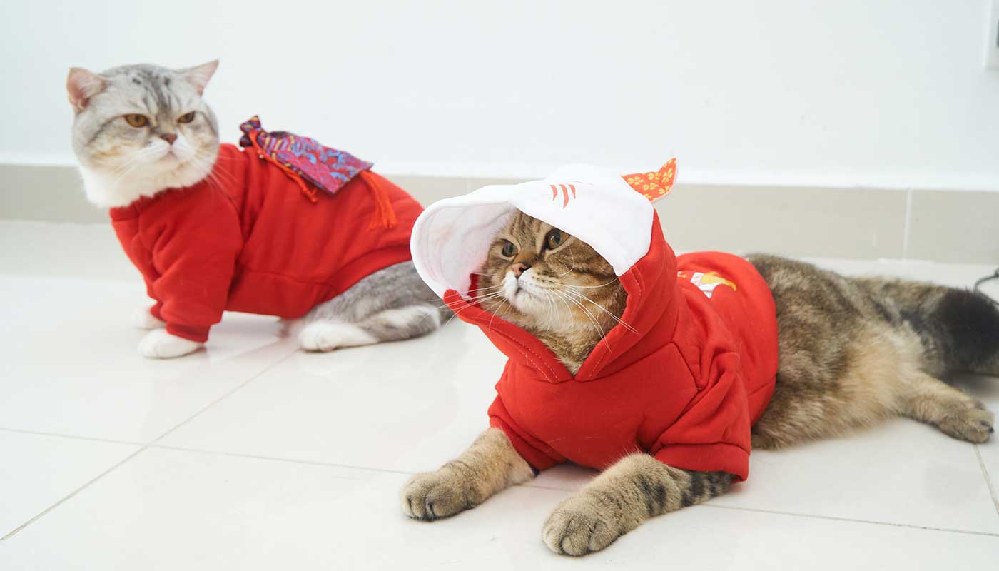 Rovolutionmarketing test e-commerce