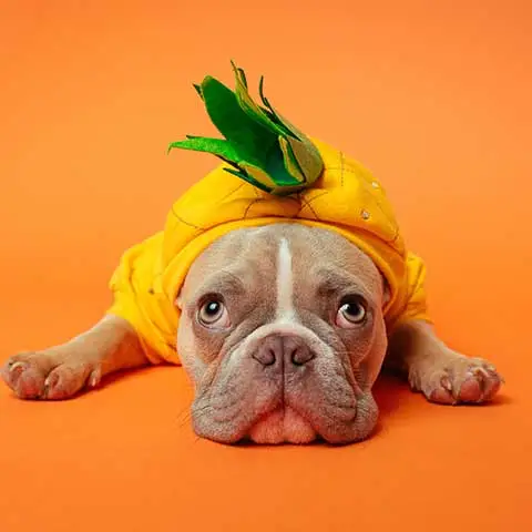 Rovolutionmarketing test e-commerce