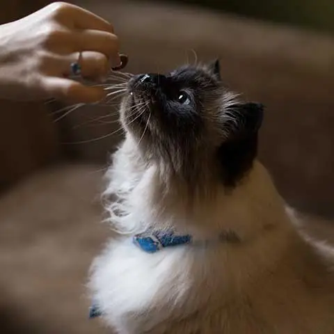 Rovolutionmarketing test e-commerce