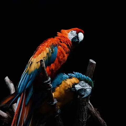 Rovolutionmarketing test e-commerce