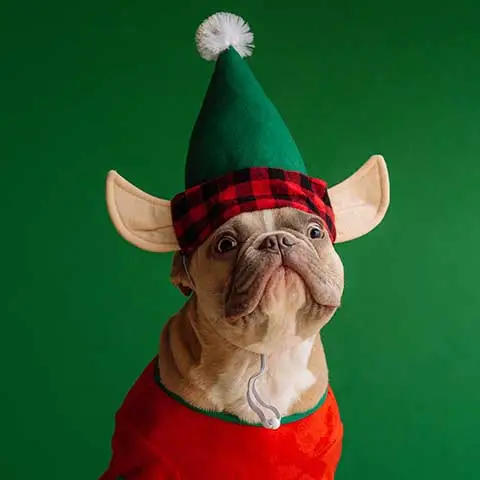 Rovolutionmarketing test e-commerce