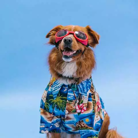 Rovolutionmarketing test e-commerce